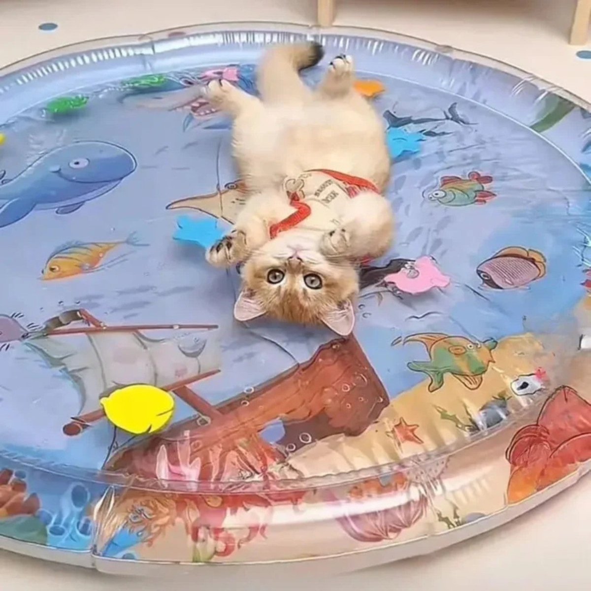Aquatic Cooling Sensory Mat - Cooling Mat for Cat - Wild Eye Vision