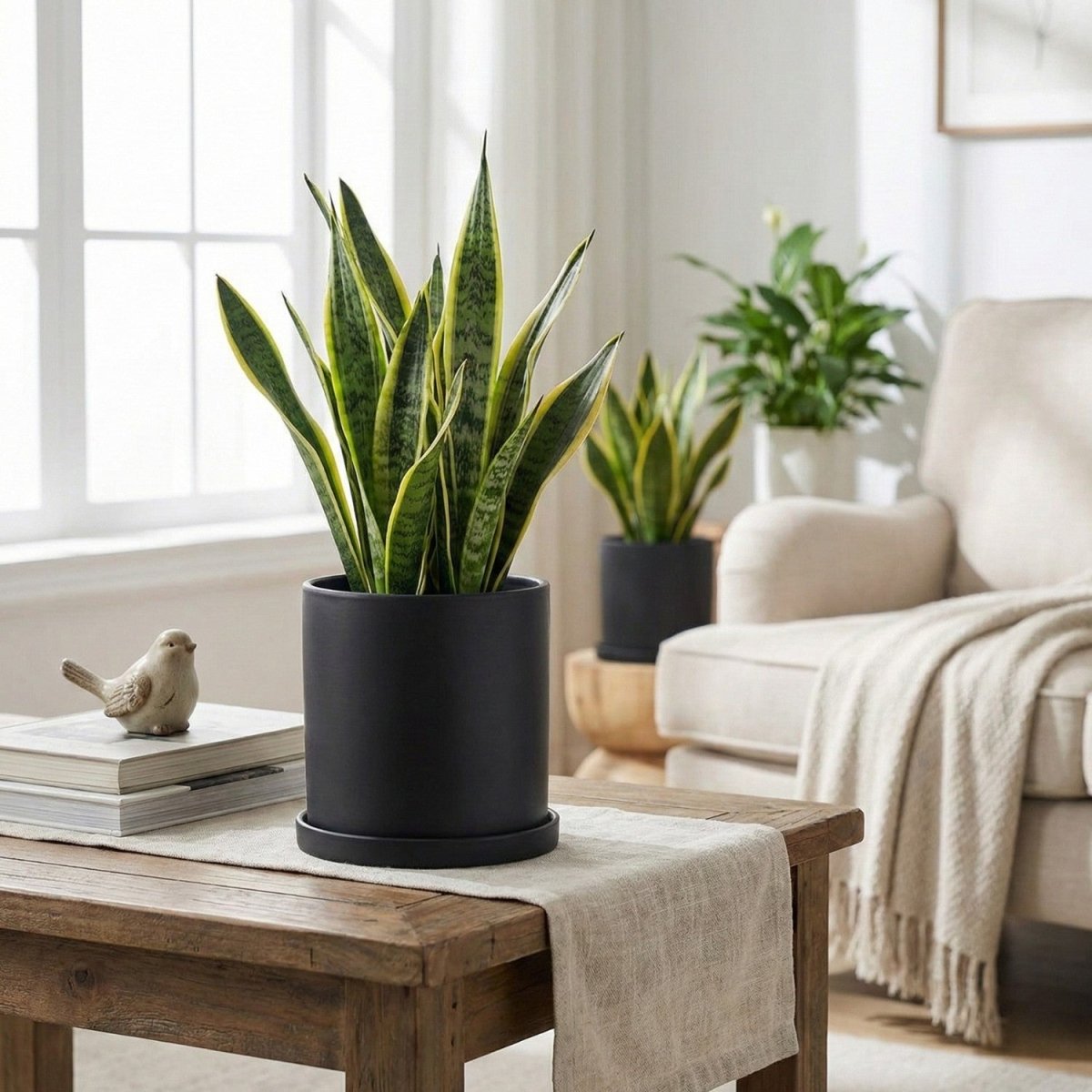 Elegant Ceramic Flowerpot with Saucer - Flowerpot - Wild Eye Vision