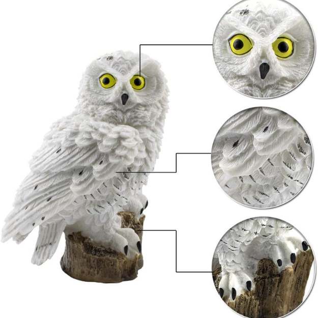 Solar - Powered Decorative Garden Light - Garden Light - Wild Eye Vision