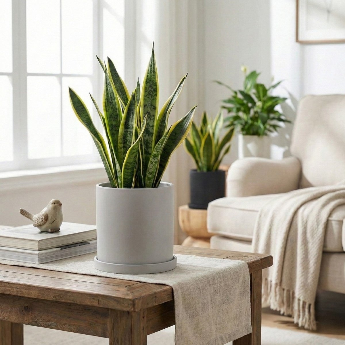 Elegant Ceramic Flowerpot with Saucer - Flowerpot - Wild Eye Vision