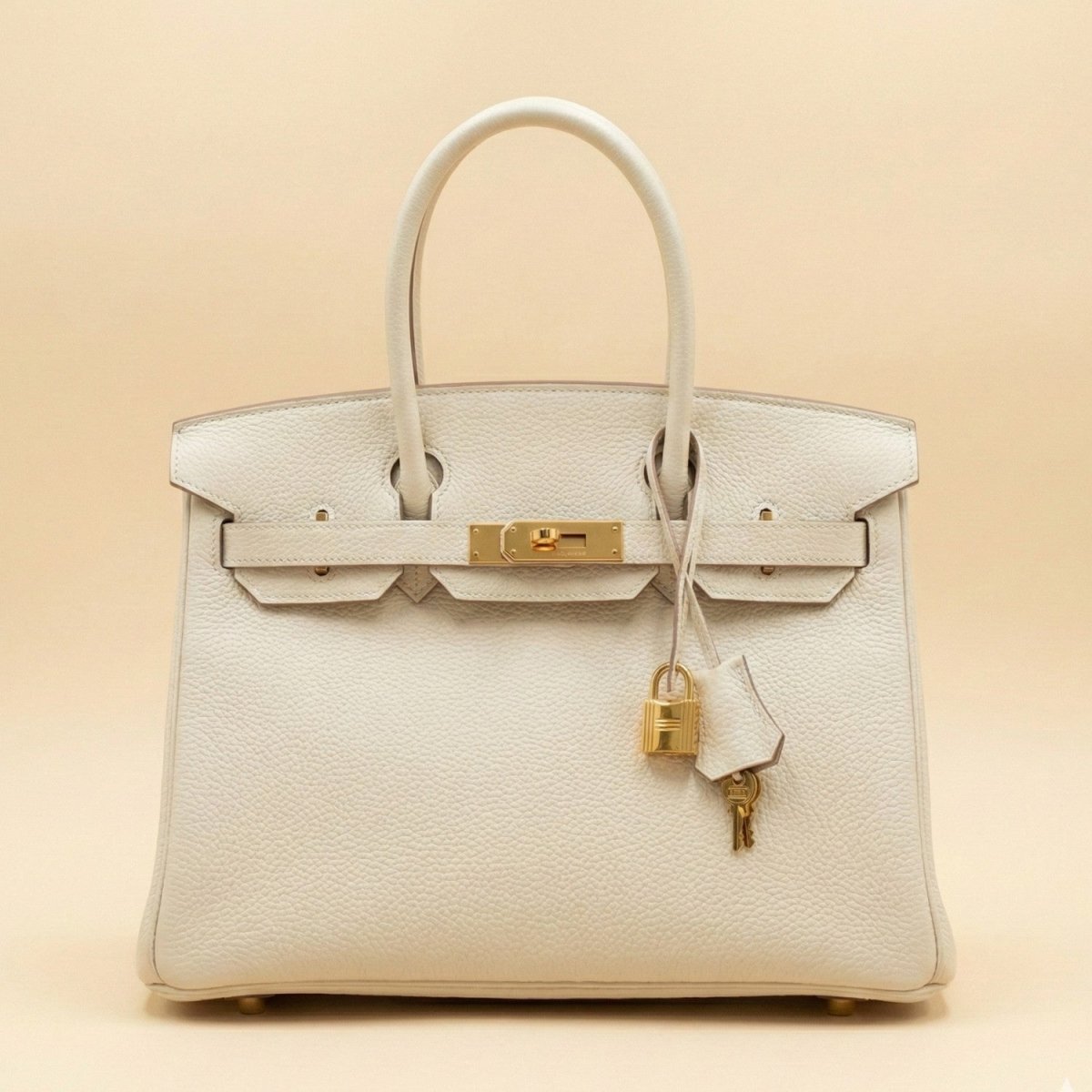 Premium Leather Handbag - Leather Handbag - Wild Eye Vision