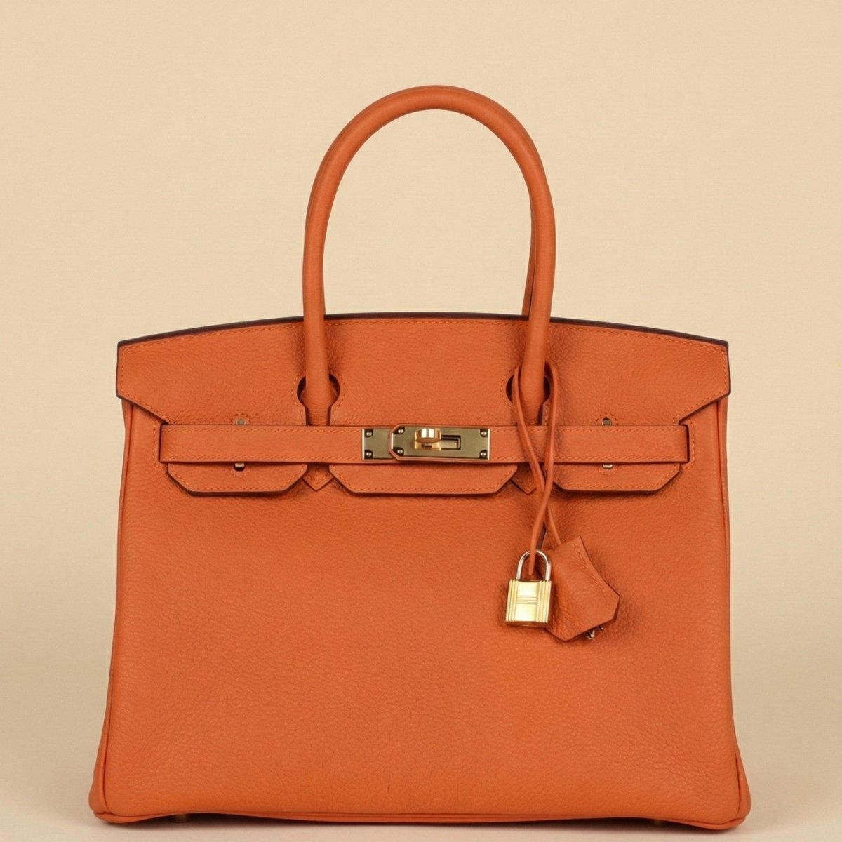Premium Leather Handbag - Leather Handbag - Wild Eye Vision