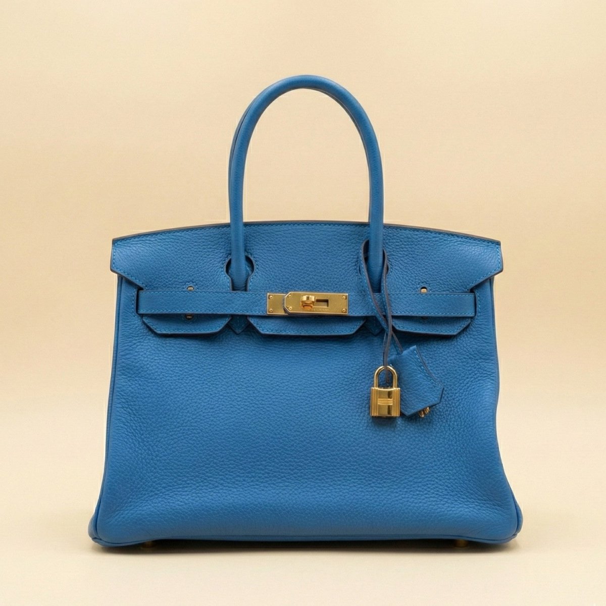 Premium Leather Handbag - Leather Handbag - Wild Eye Vision