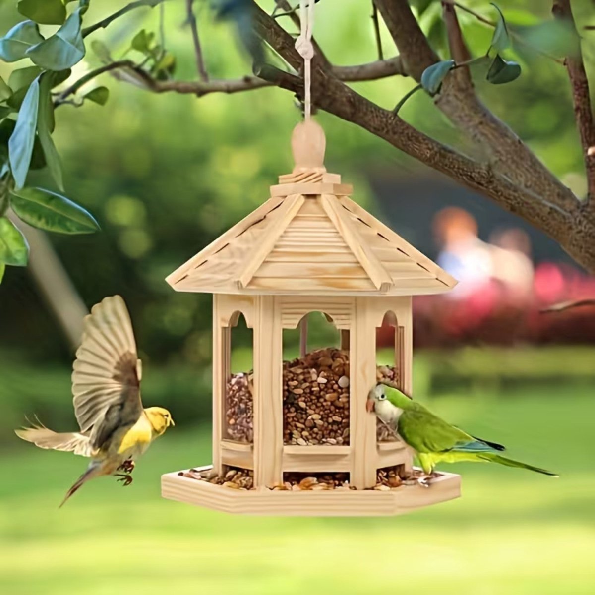 Rustic Wooden Birdhouse with Water System - Bird House - Wild Eye Vision