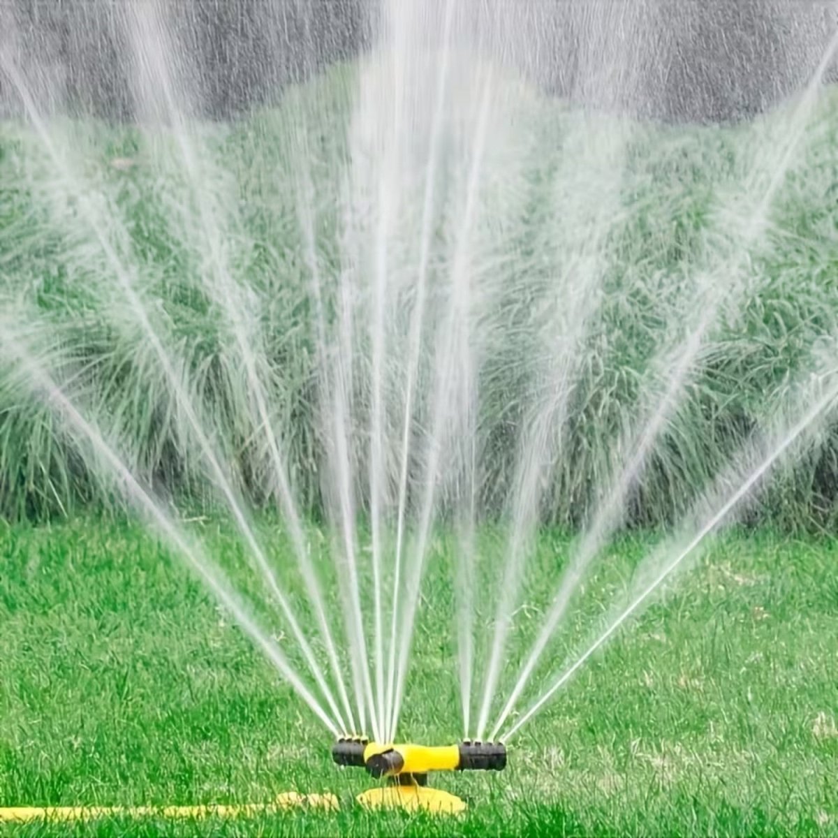 Triple Nozzle Lawn Water Sprinkler - Garden Sprayer - Wild Eye Vision
